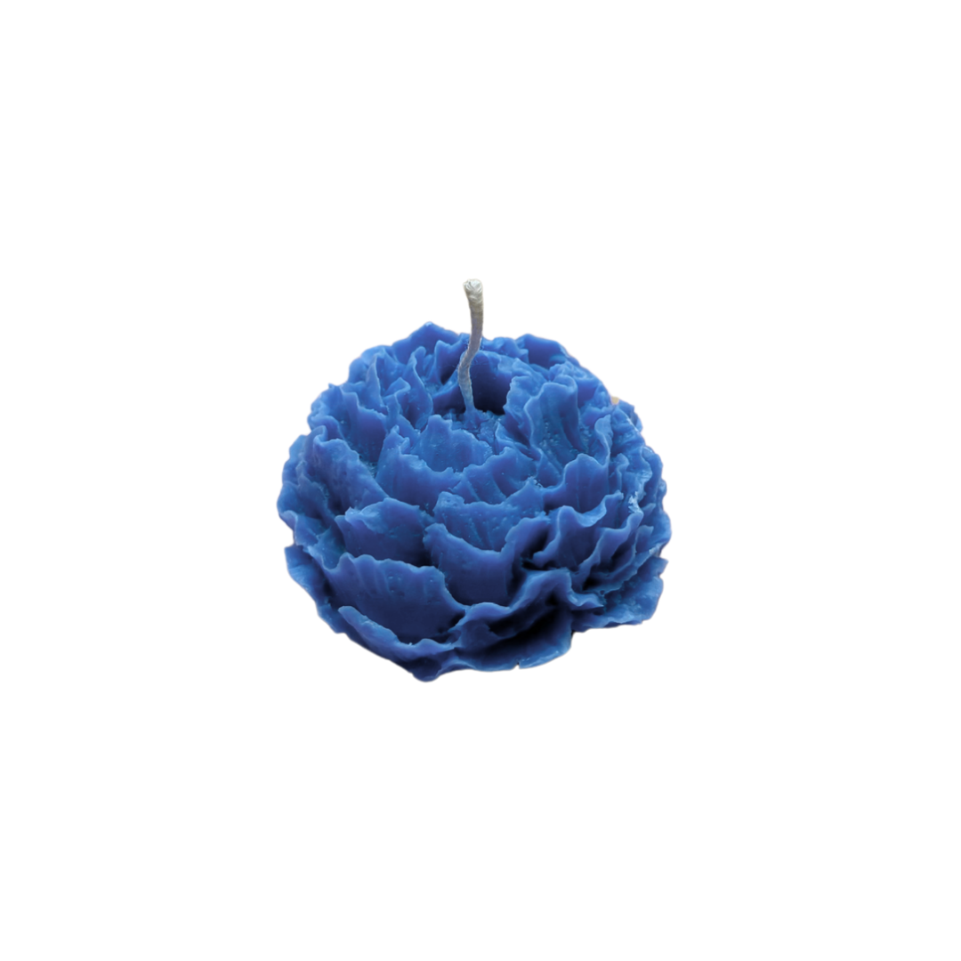 Rosa-4