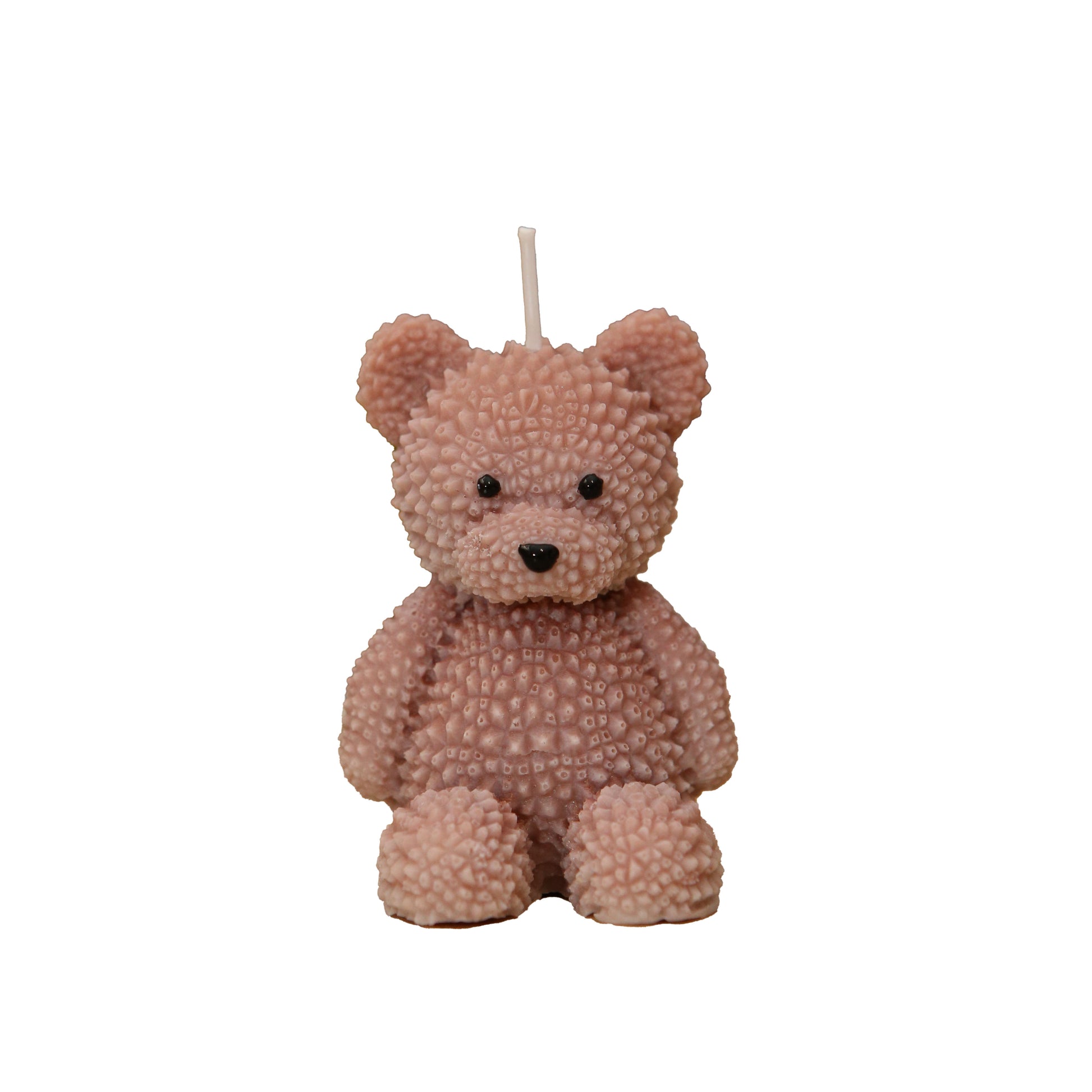 Il mio teddy
