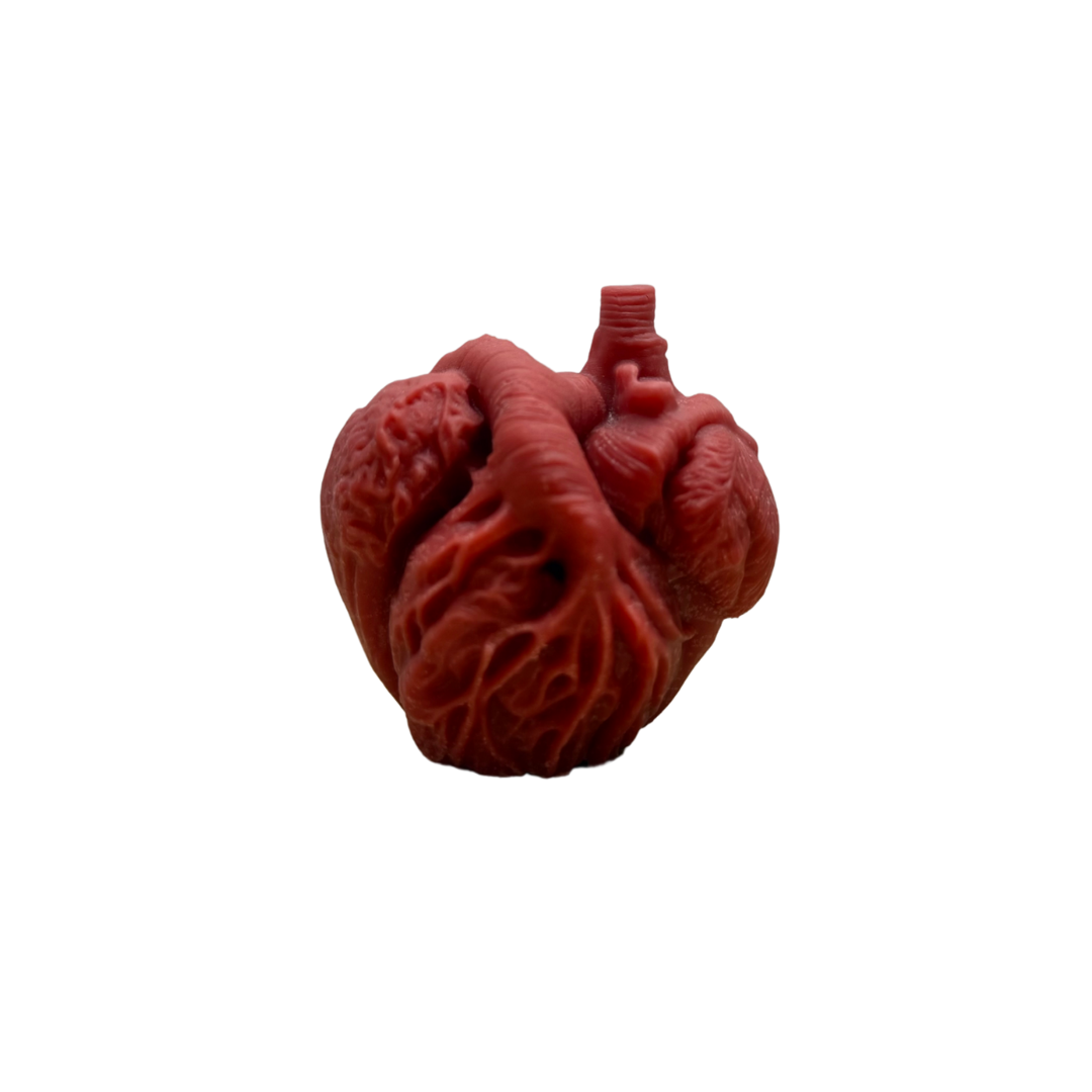 Cuore matto - new fragrance