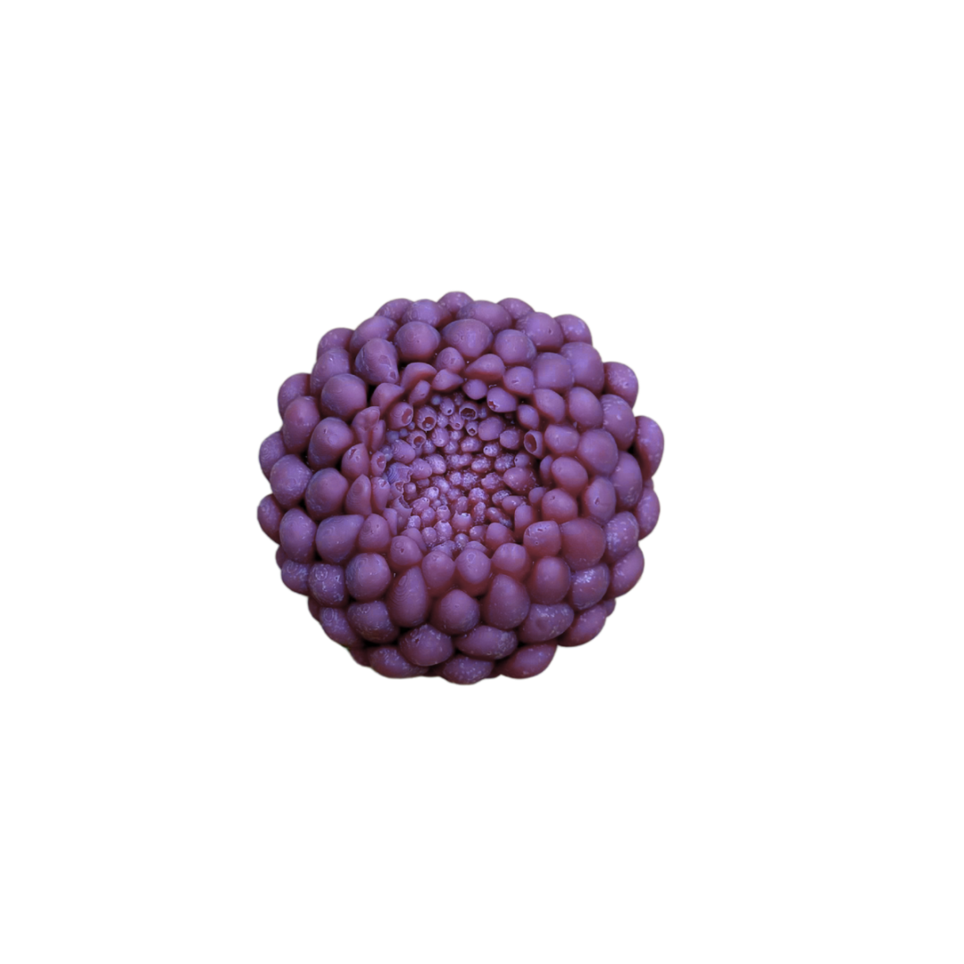 Peonia - new fragrance