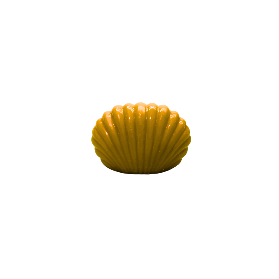 Conchiglia - new fragrance