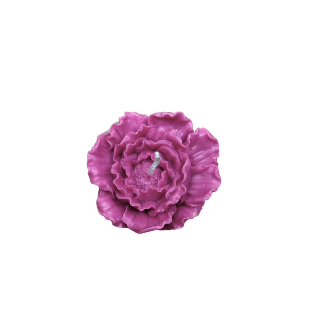 Rosa-1 - new fragrance