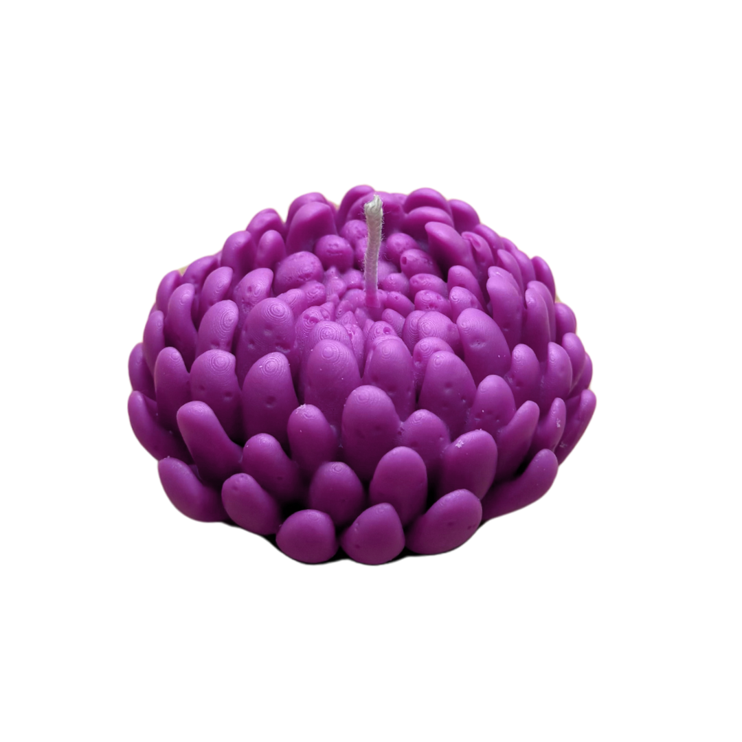 Peonia grande - new fragrance